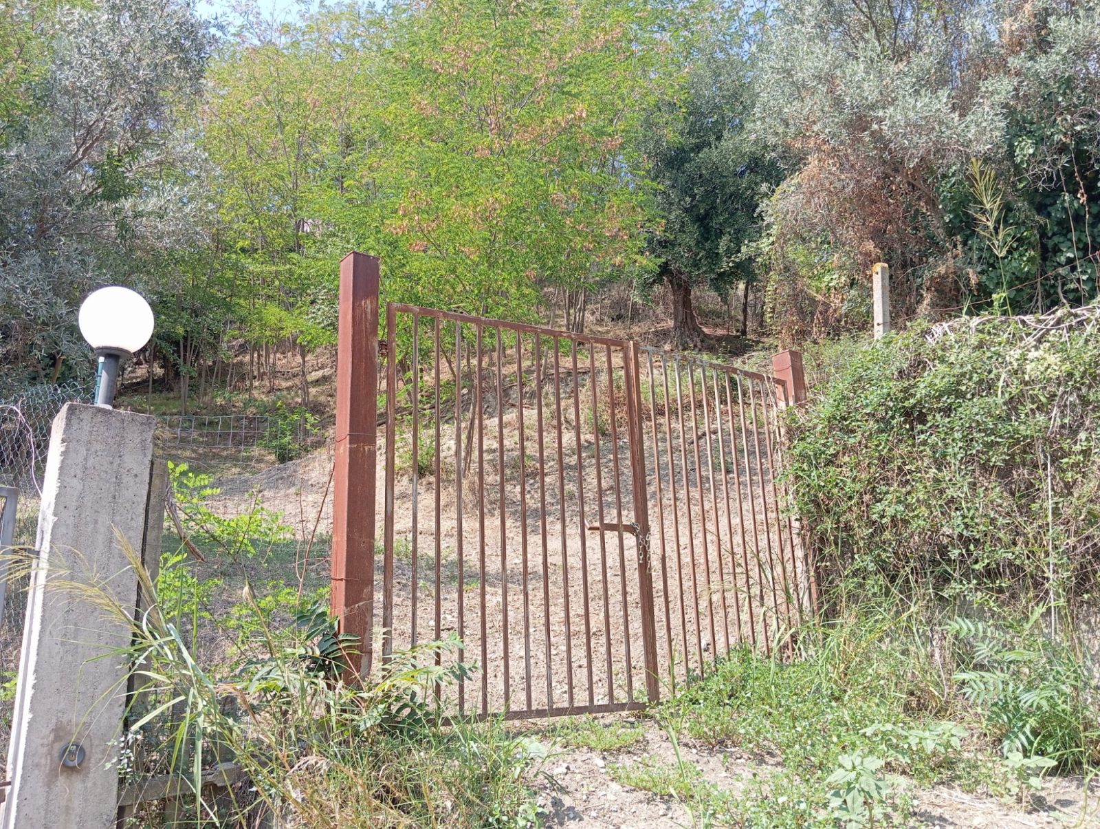 CZ - Piterà - Terreno in Vendita Agricolo – foto 1
