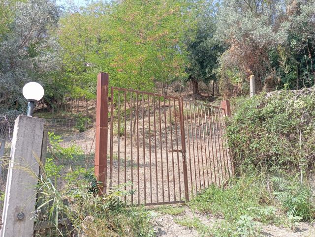 CZ - Piterà - Terreno in Vendita Agricolo