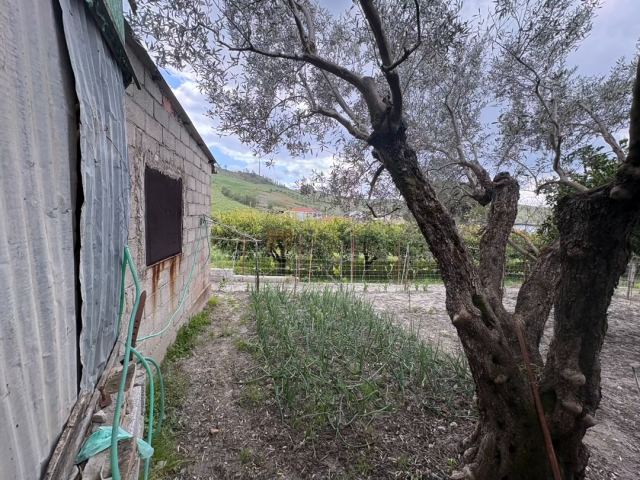 Foto 6