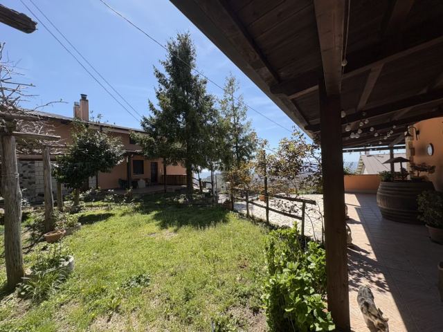 Foto 17