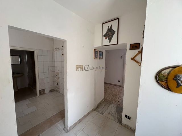 CZ – Piazza Roma- Appartamento Indipendente